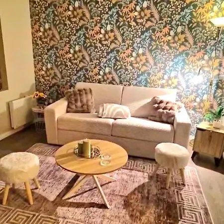 Appartement Cosy 32 M2 Hyper Centre