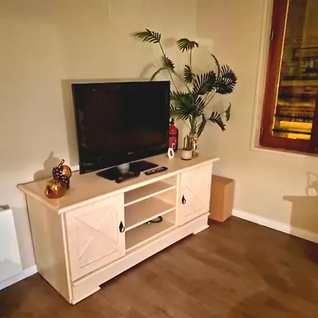 Cosy 32 M2 Hyper Centre Appartement