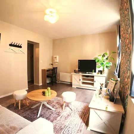 Cosy 32 M2 Hyper Centre Apartment