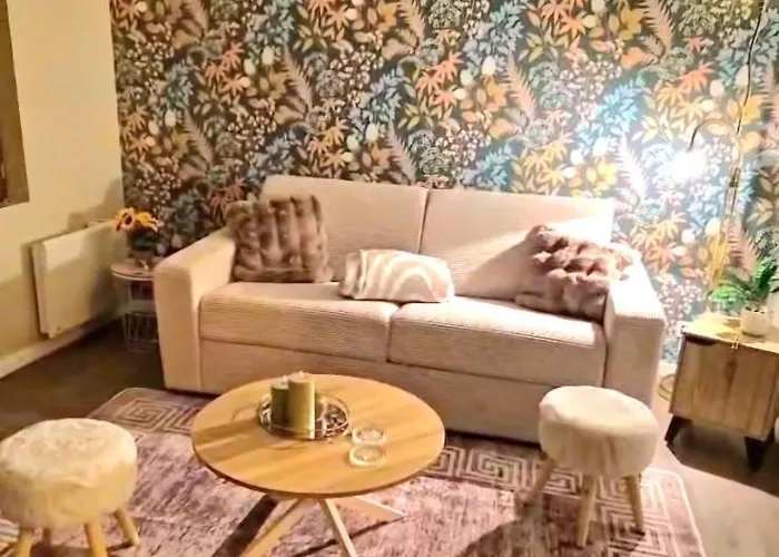 Appartamento Cosy 32 M2 Hyper Centre