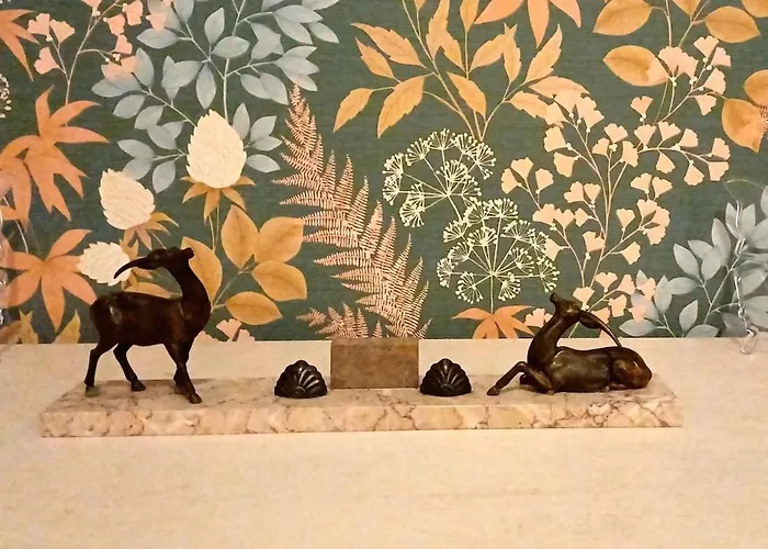 Appartamento Cosy 32 M2 Hyper Centre Châlons-en-Champagne