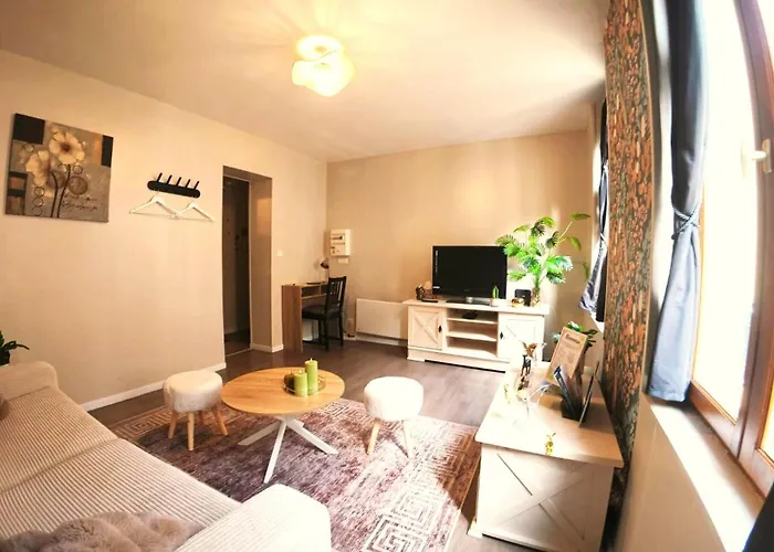 Cosy 32 M2 Hyper Centre Appartamento